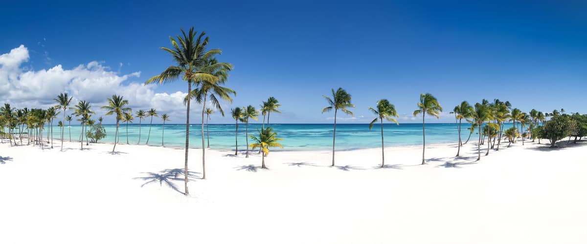 A beach with white sand and palm trees under a clear blue sky.