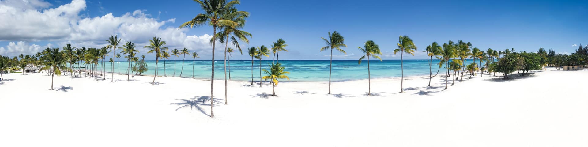 A beach with white sand and palm trees under a clear blue sky.