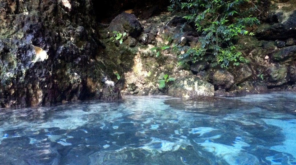 Took an eco tour in Punta Cana to Hoyo Azul for a swim in the natural lagoon. Beautiful and fun experience!
More info: http://www.badsentences.com/hoyo-azul-dominican-republic/
