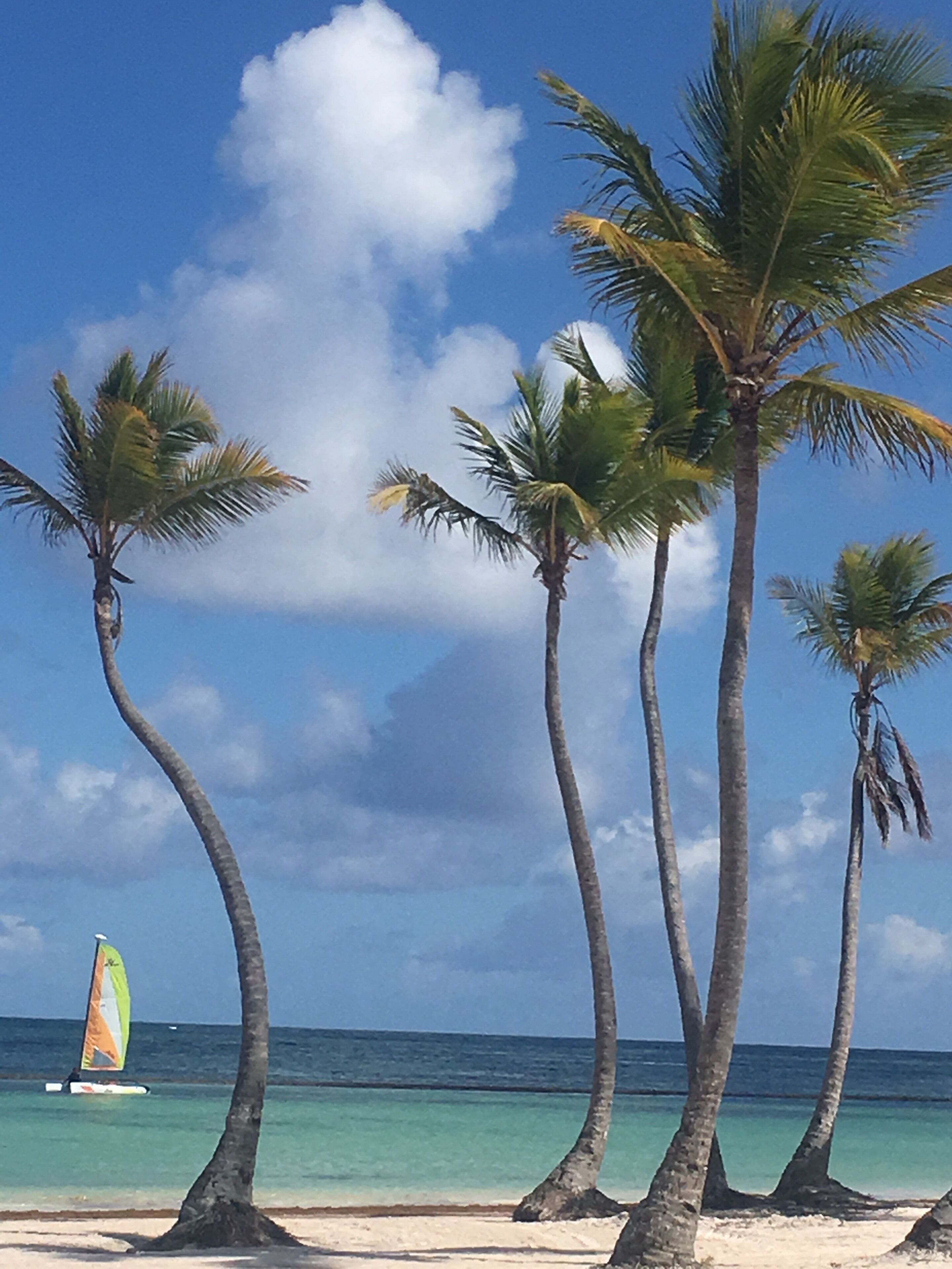 Relax on this private beach and let your thoughts sail away! #adventure