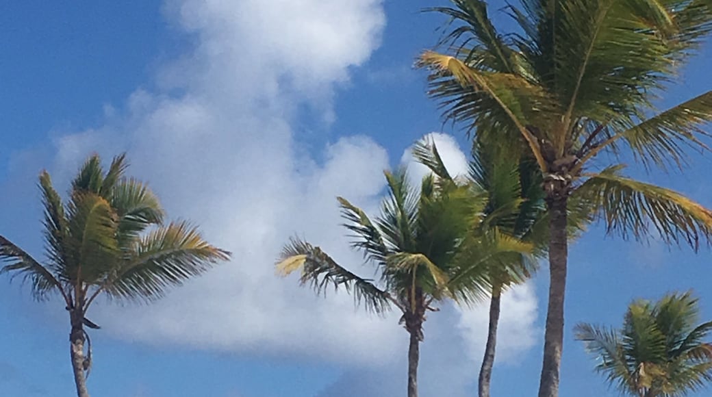 Relax on this private beach and let your thoughts sail away! #adventure