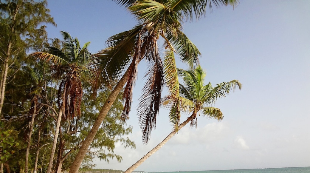 Punta Cana, Dominican Republic