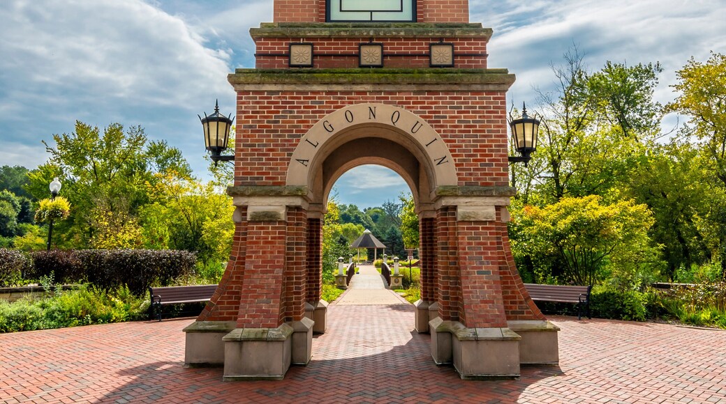 Clock Tower view in Algonquin Town of Illinois