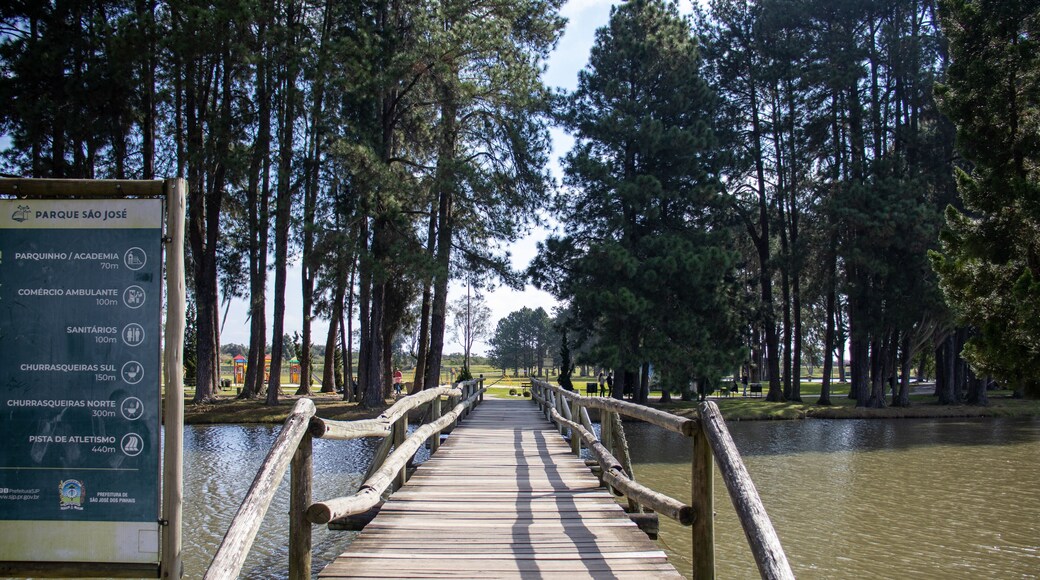 São José dos Pinhais