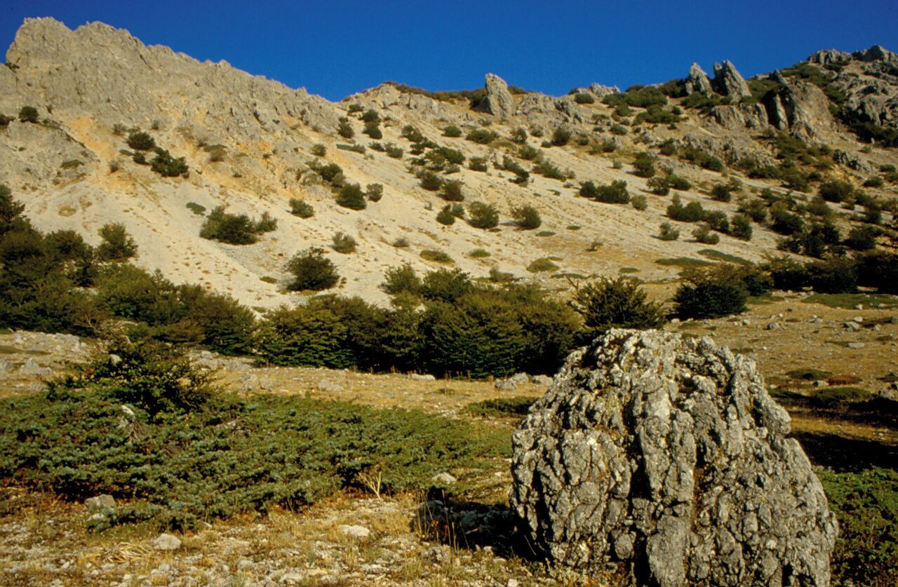 [Archivio ex Laboratorio Immagine]