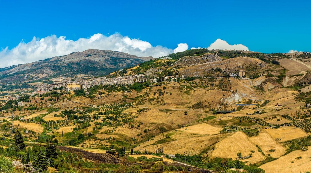 波利齐杰内罗萨