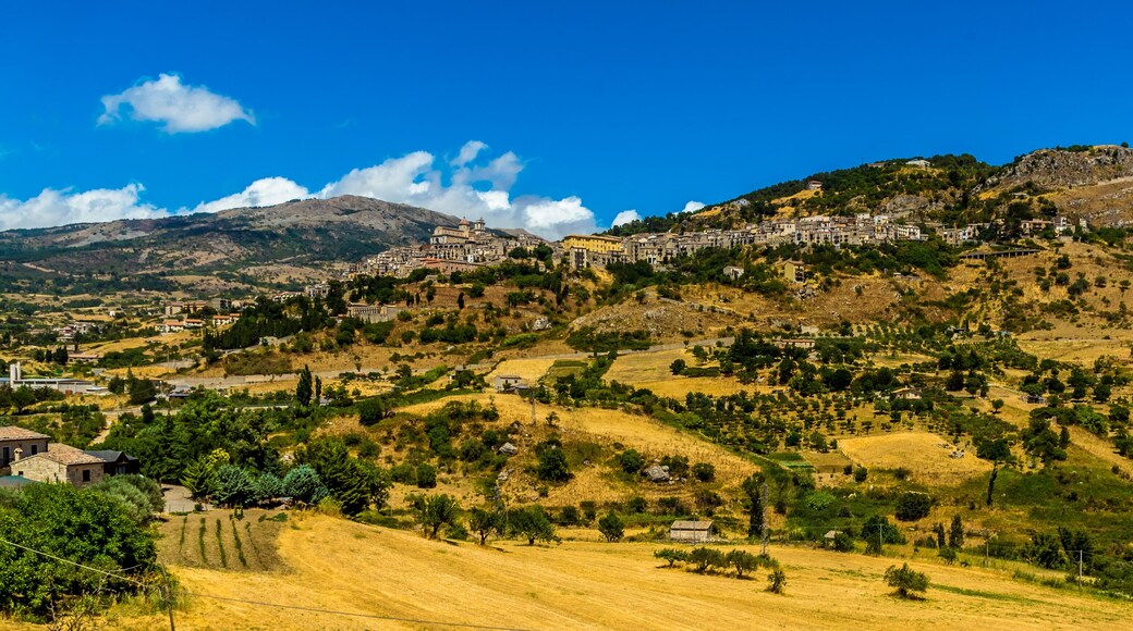 波利齐杰内罗萨