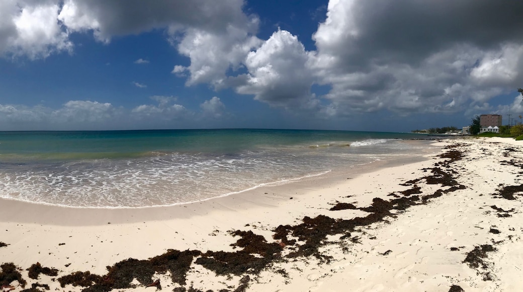 เวอร์ทิง