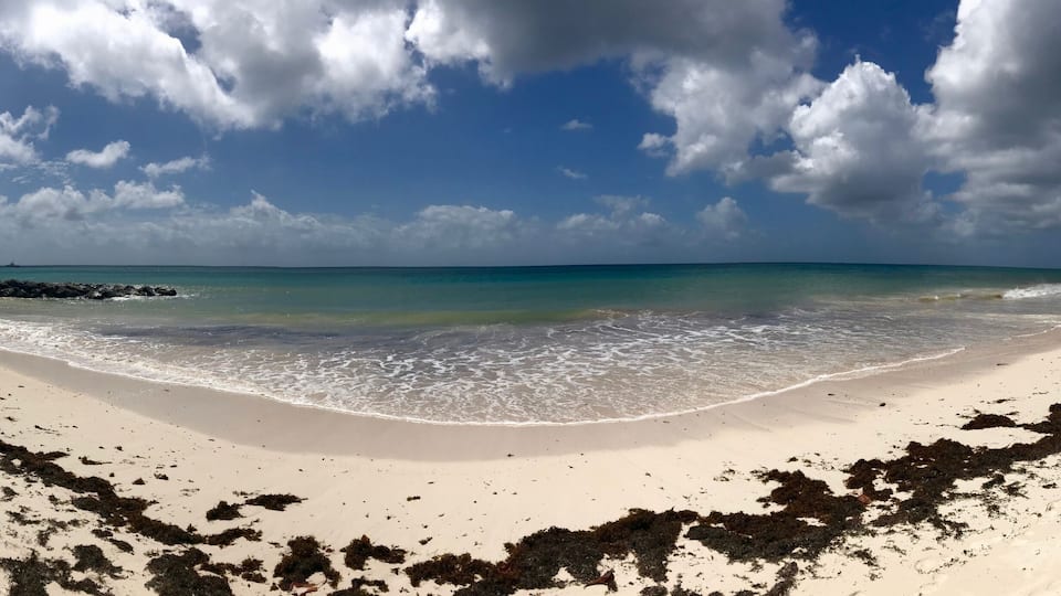 A beach with clear turquoise water, white sand, and scattered seaweed.