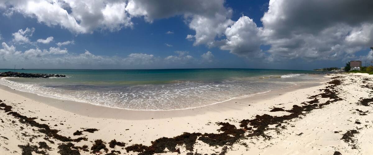 A beach with clear turquoise water, white sand, and scattered seaweed.