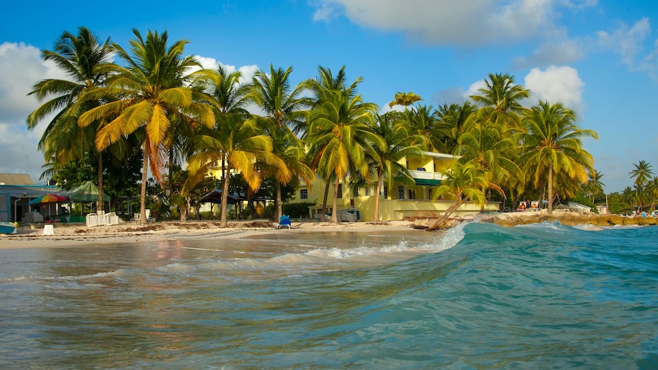 A beach with palm trees, a sandy shore, and a building with a yellow facade.