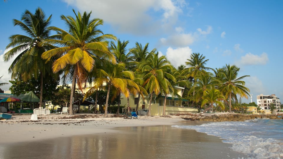 A beach with palm trees, a sandy shore, and a building in the background.
