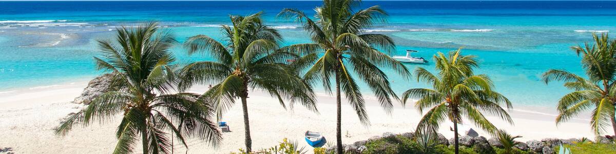 A tropical beach with clear turquoise waters, white sand, and palm trees.