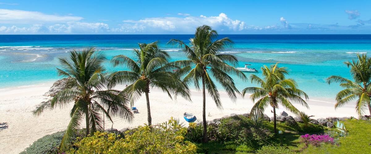 Tropisch strand met helder turquoise water, wit zand en palmbomen.