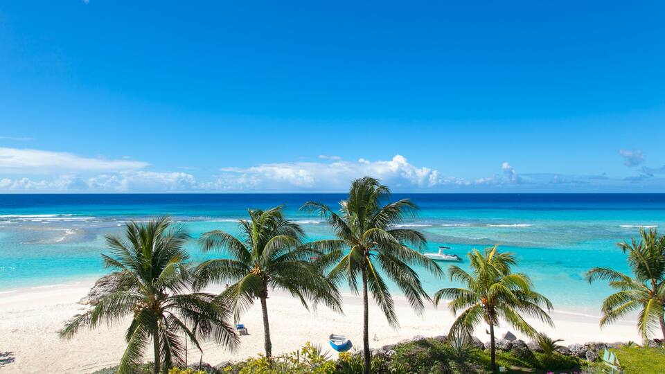 A tropical beach with clear turquoise waters, white sand, and palm trees.