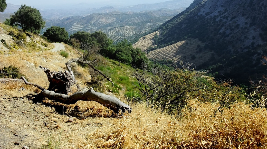 Landscape in Andalusia, Sierra de la Horconera, Province Córdoba in Spain
