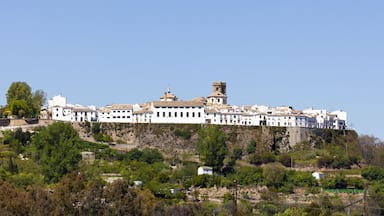 The fortified town of Priego de Cordoba, Andalusia, Spain