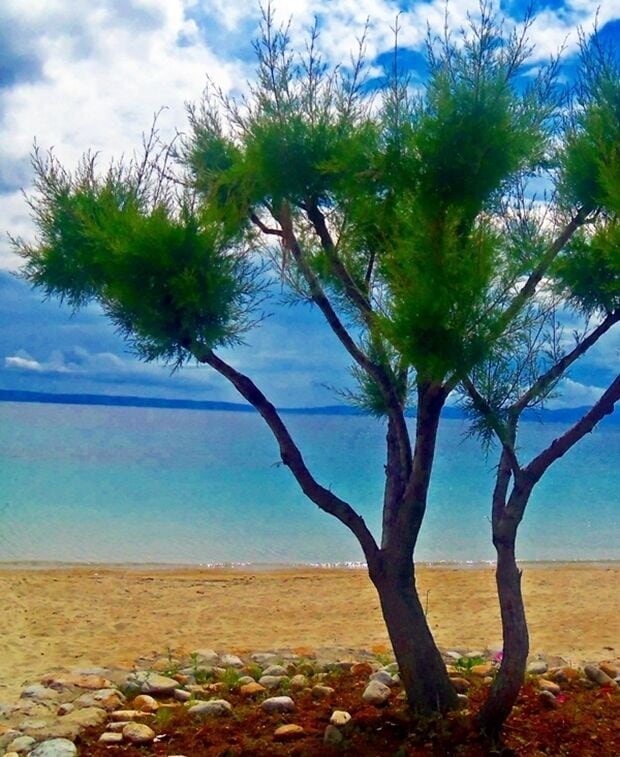 This island of Halkidiki, located across Ouranoupoli town, is a beautiful, tranditional place. The island size is quite moderate, but some of the most beautiful beaches in the whole Halkidiki are located here