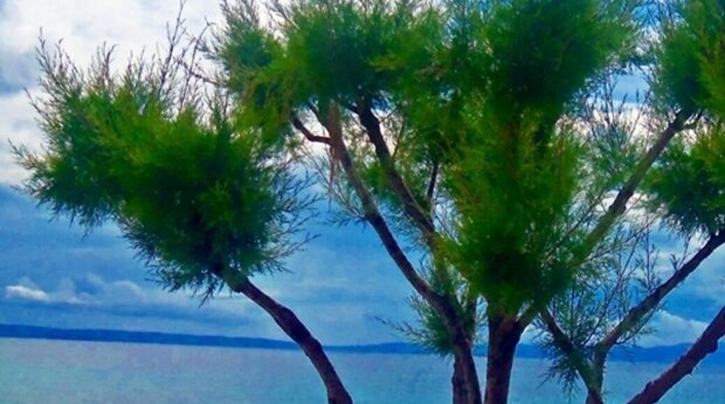 This island of Halkidiki, located across Ouranoupoli town, is a beautiful, tranditional place. The island size is quite moderate, but some of the most beautiful beaches in the whole Halkidiki are located here