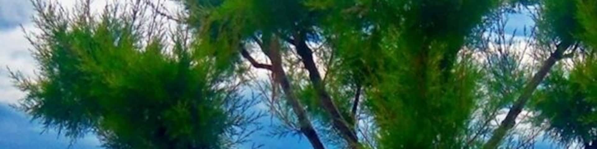 This island of Halkidiki, located across Ouranoupoli town, is a beautiful, tranditional place. The island size is quite moderate, but some of the most beautiful beaches in the whole Halkidiki are located here