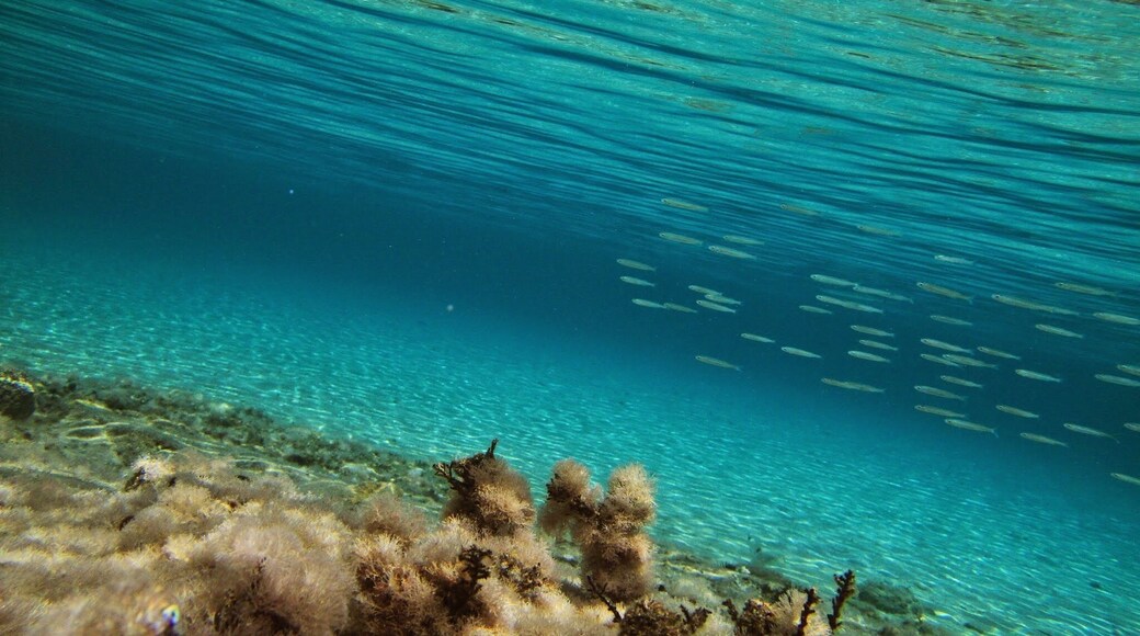 Blue world, #sea#nature