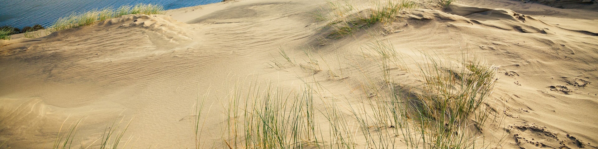 A coastal landscape with sand dunes, grassy areas, and a clear view of the ocean.