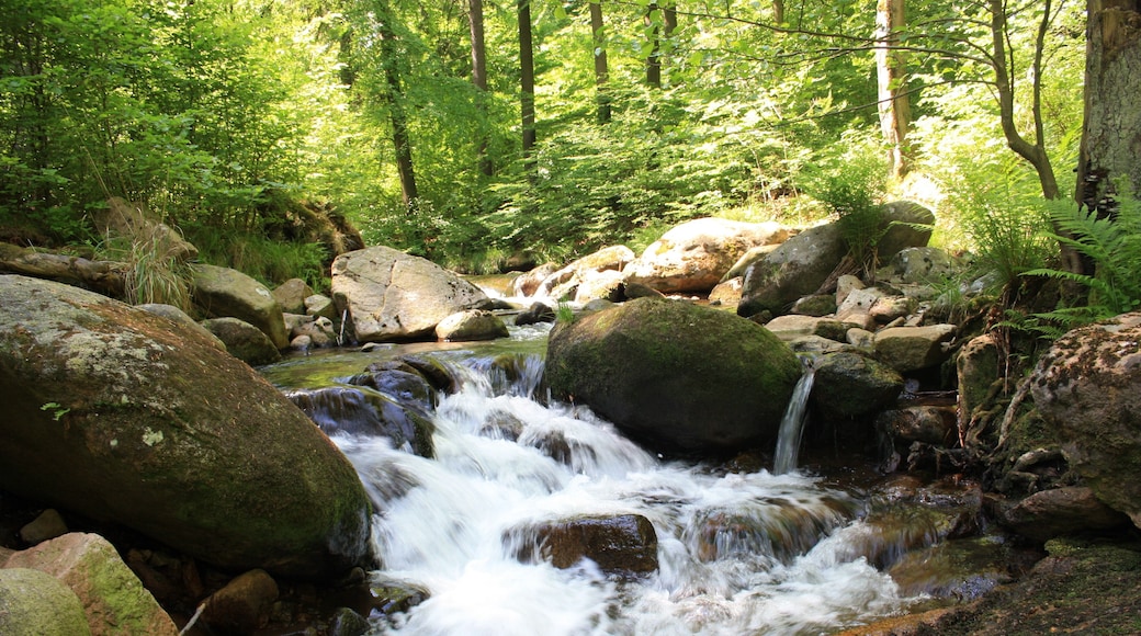Wanderung Tal der Ilse - Harz