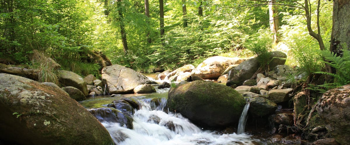 Wanderung Tal der Ilse - Harz