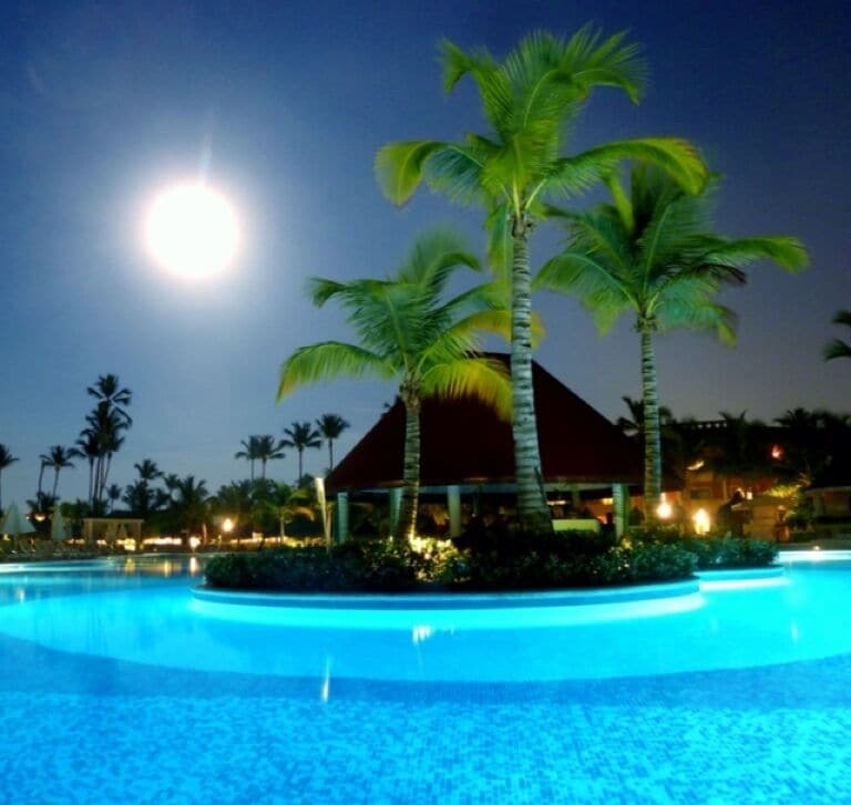 A nighttime resort pool with palm trees and a building in the background.