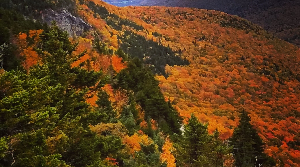 View from the peak of Table Rock on the AT at Grafton Notch State Park