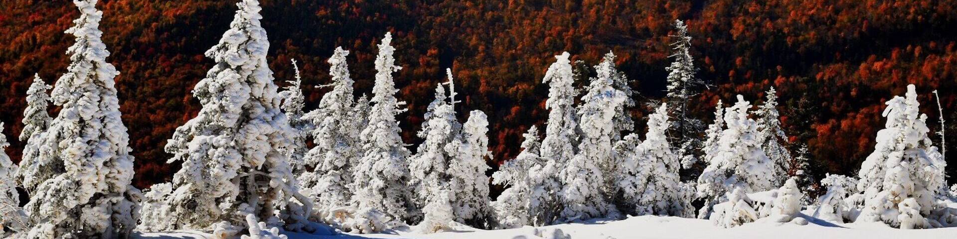 October skiing at it's finest. Sunday River Maine. #snowiliage
#BestOf5