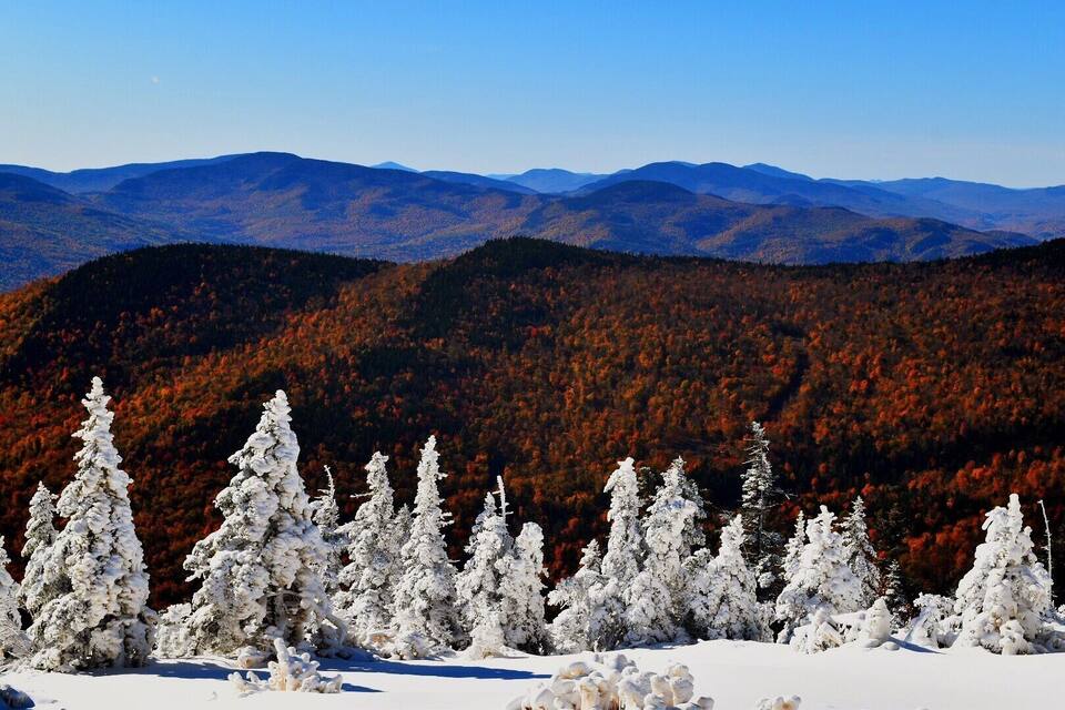 A snowy mountain landscape with evergreen trees and autumn-colored trees in the background.