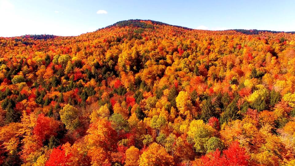 A forested mountain with autumn foliage.
