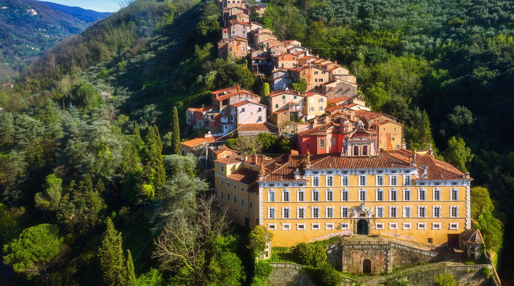 Pescia