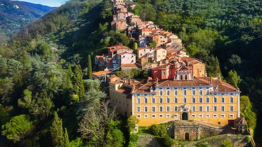 Pescia