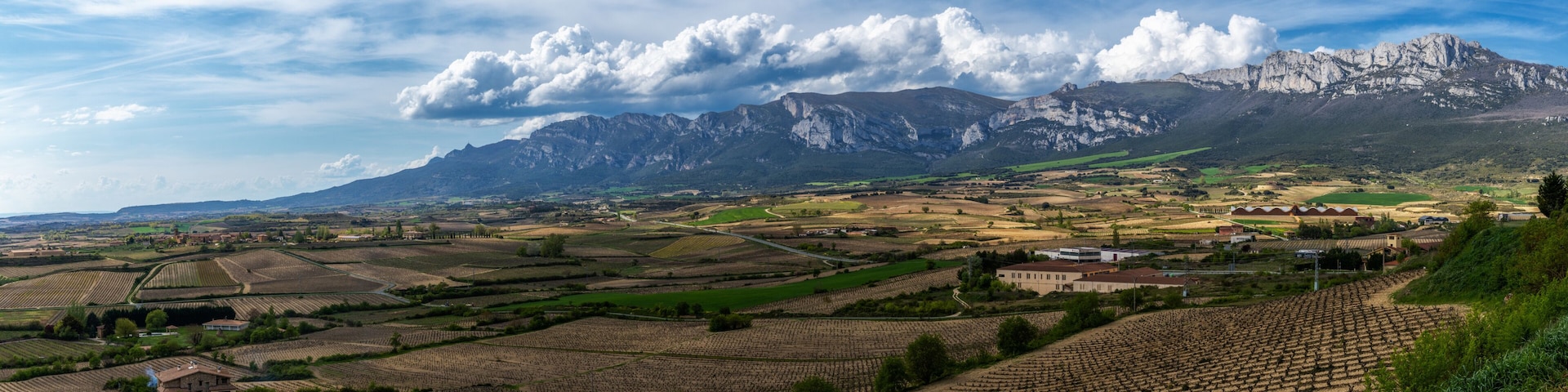 Paisaje de viñedo con campos en terrazas, una cadena montañosa y cielo despejado.