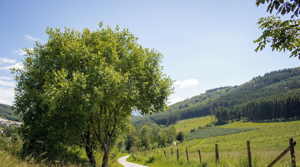 Landschaft im Sauerland, Hochsauerlandkreis, Nordrhein-Westfalen