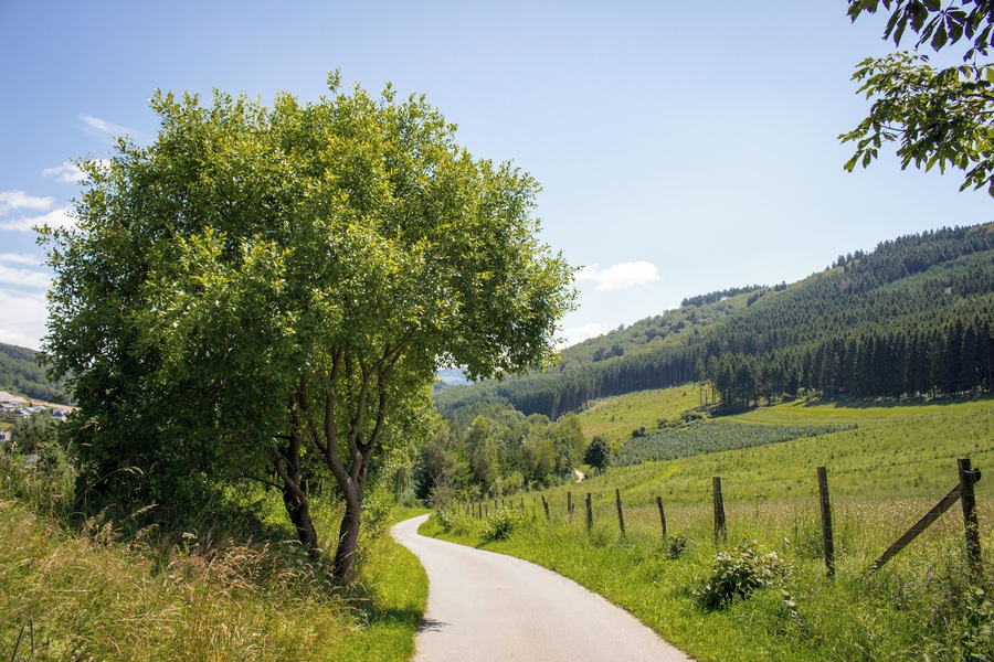 A winding country road flanked by lush greenery and a forested hill in the distance.