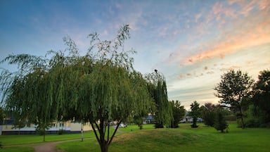 Blue hour in the city park of Delbrück
