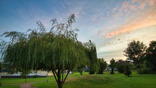 Blue hour in the city park of Delbrück