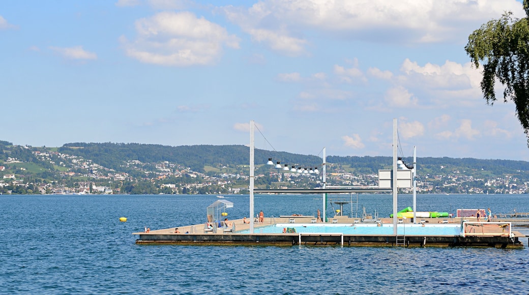 Horgen
