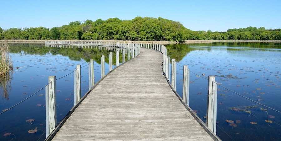 Boardwalk Across a Pond