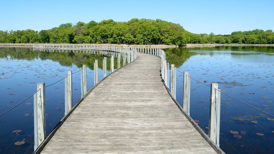 A wooden pier extending into a calm lake surrounded by dense greenery.