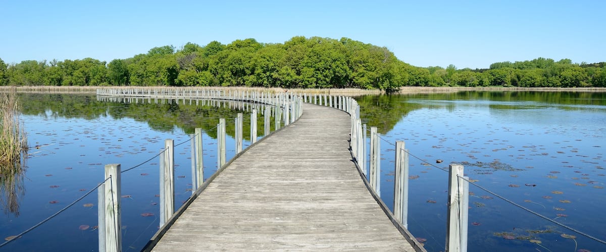 Boardwalk Across a Pond