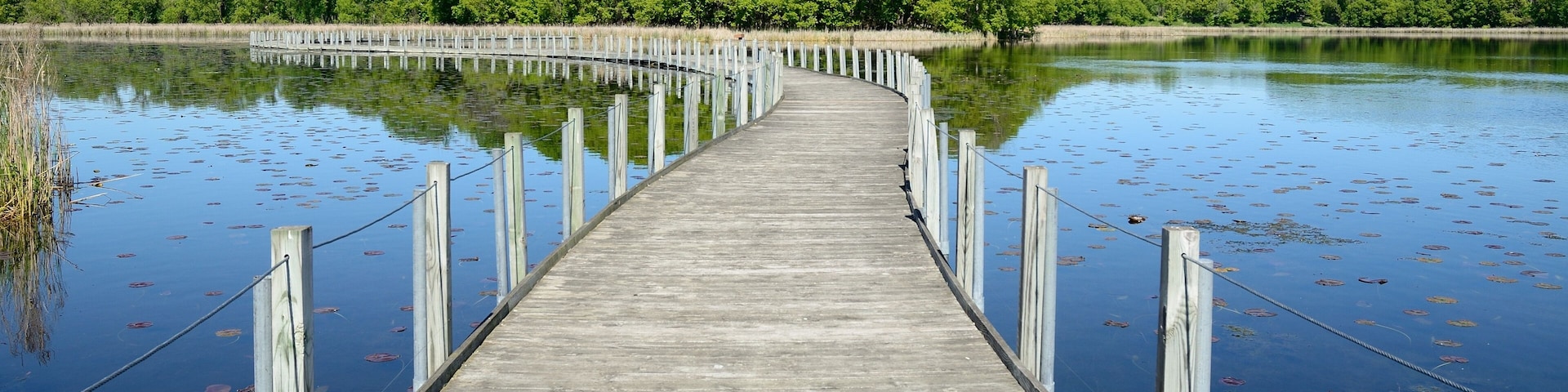 A wooden pier extending into a calm lake surrounded by dense greenery.