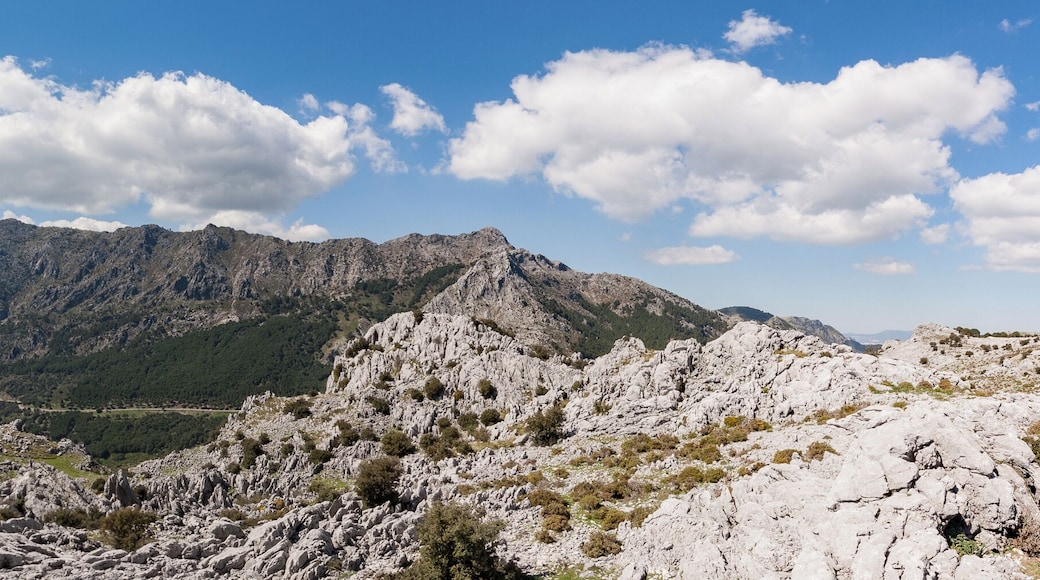 Sierra de Grazalema