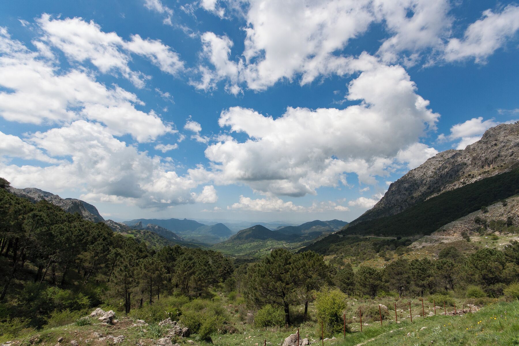 A mountainous landscape with scattered trees and a clear blue sky with clouds.