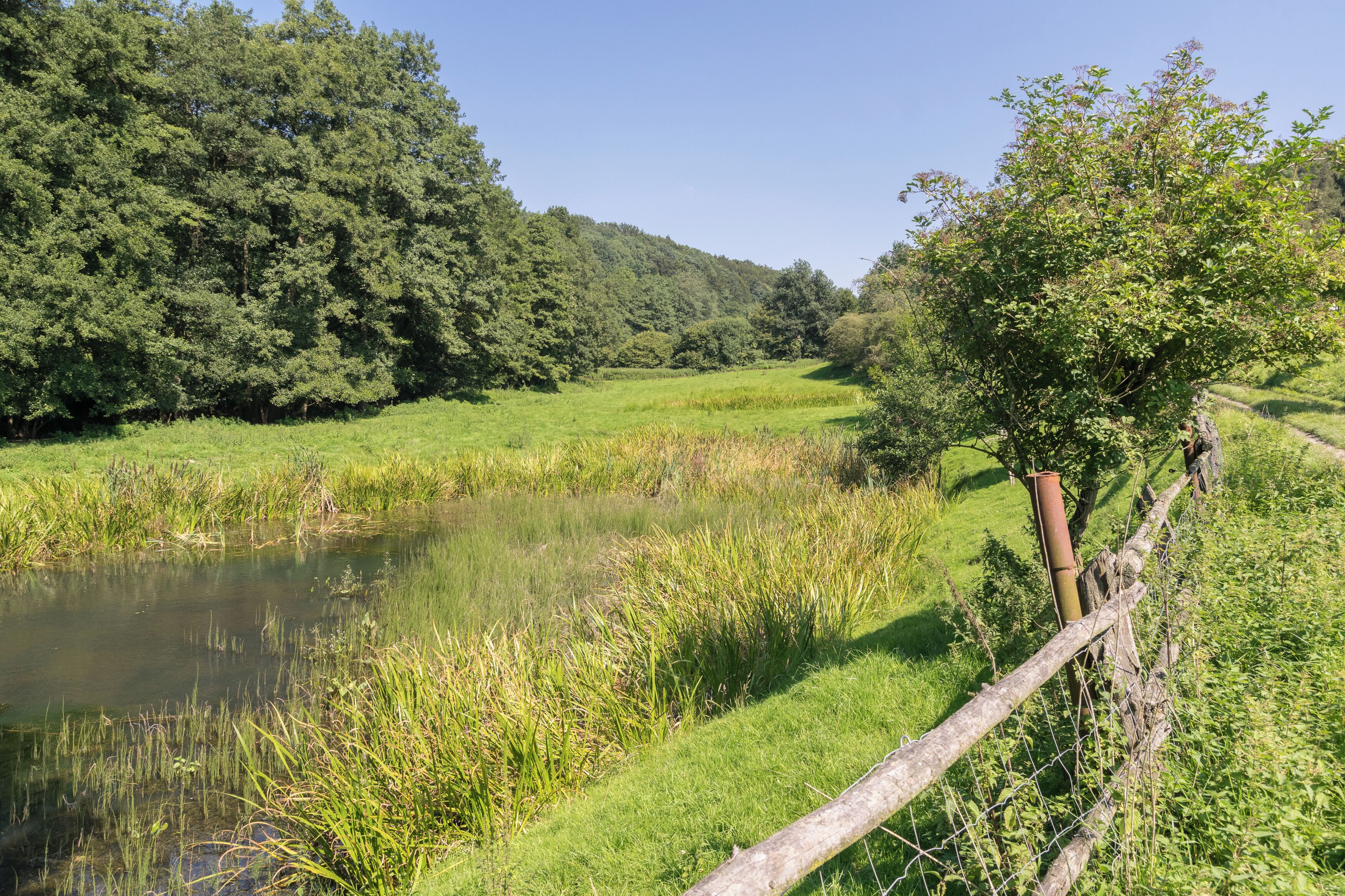 Naturschutzgebiet "Siekbachtal", Extertal, Kreis Lippe