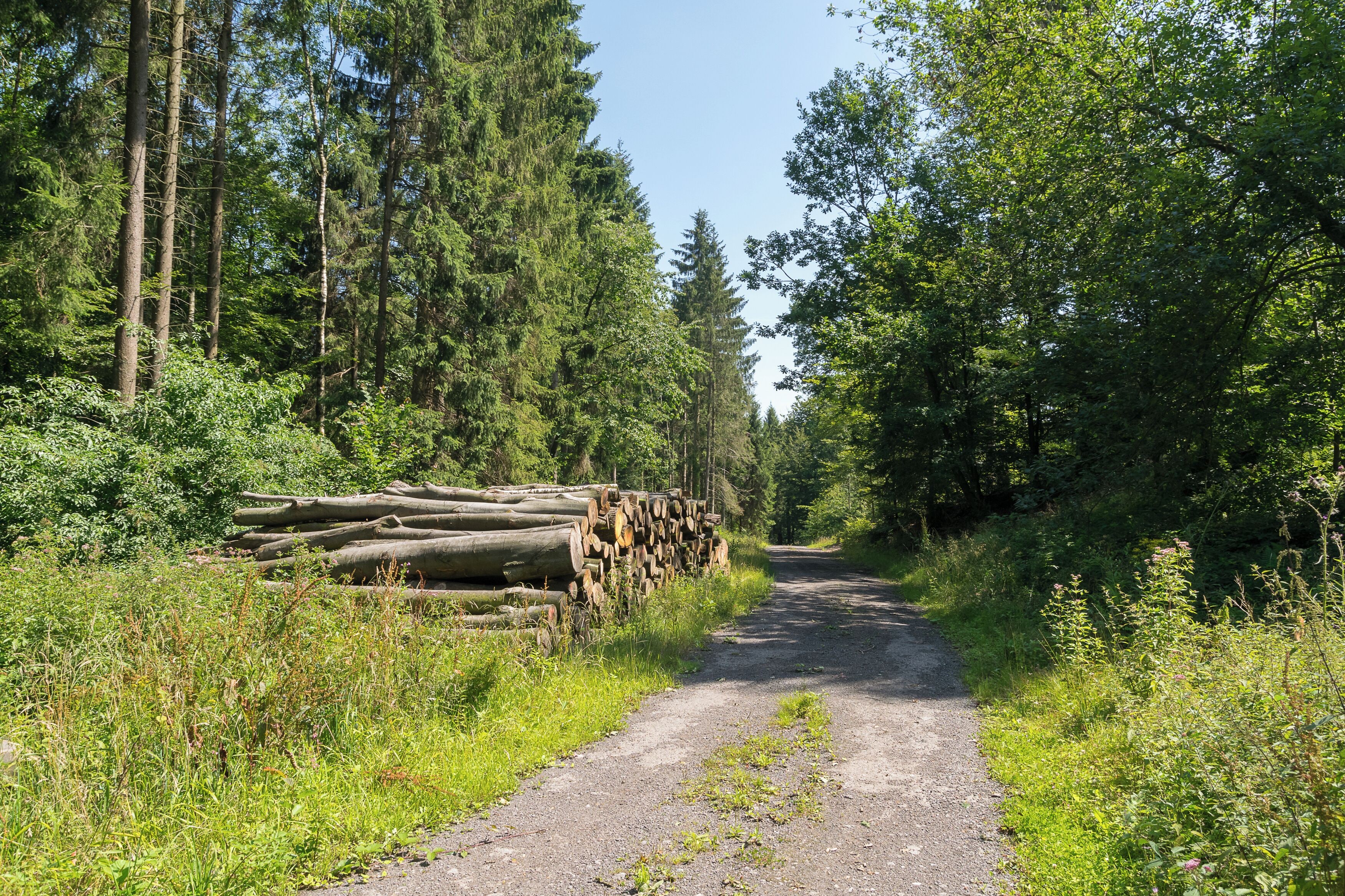 Naturschutzgebiet "Heimbachtal", Extertal, Kreis Lippe