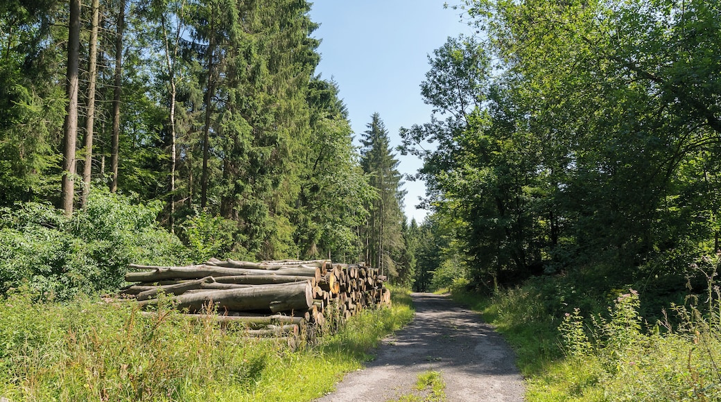 Naturschutzgebiet "Heimbachtal", Extertal, Kreis Lippe
